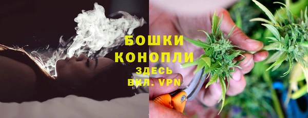 гашик Алексеевка