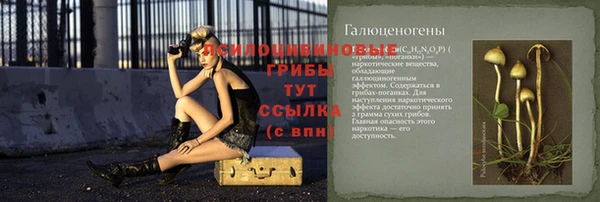 гашик Алексеевка