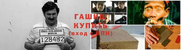 гашик Алексеевка