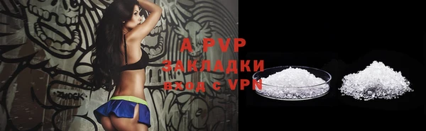 гашик Алексеевка