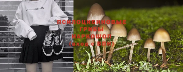 спайс Алексин