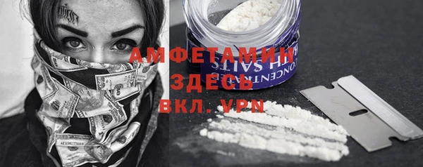 гашик Алексеевка