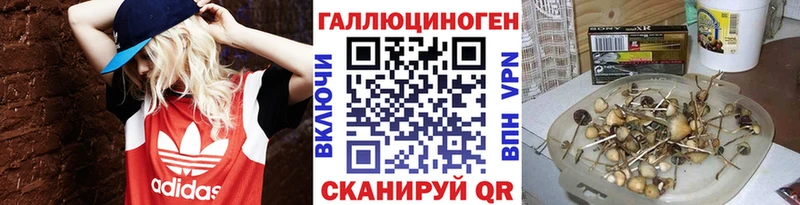 Псилоцибиновые грибы Psilocybe Купить Череповец
