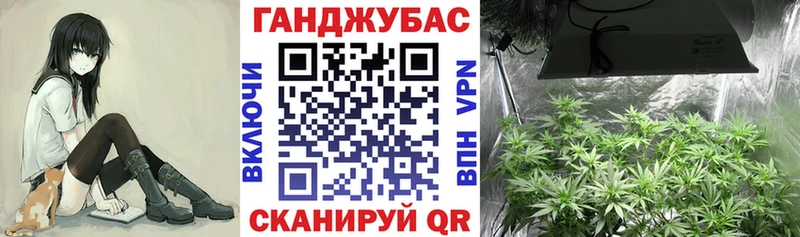 Канабис SATIVA & INDICA  Купить где  Череповец 